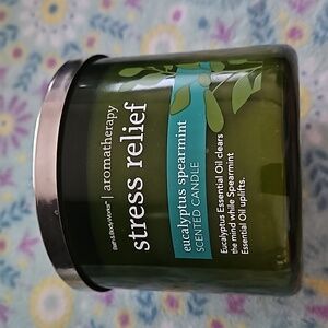 Eucalyptus Spearmint Bath and Body Works 3 wick candle